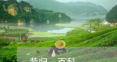 昔归 百科/2023090230704